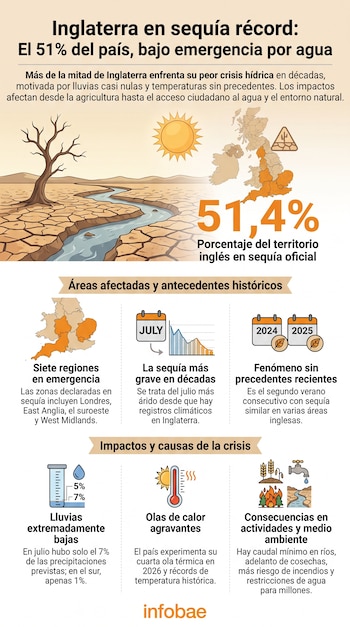 Infografía sobre sequía en Inglaterra con el 51,4% del territorio afectado. Incluye mapa, paisaje seco, sol, termómetro, cultivos, grifo, río, lluvia y fechas.