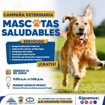 Se prevé una alta participación