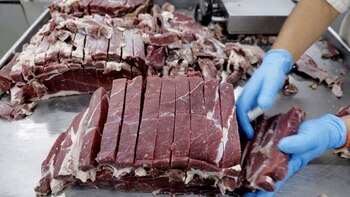 Planta de cárnicos para el