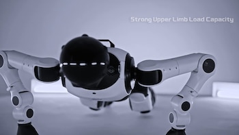 Robot de color blanco y negro en posición de flexión de brazos sobre el suelo junto al texto Strong Upper Limb Load Capacity