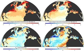 Cuatro mapas coloridos del Atlántico Norte que muestran cambios en la temperatura superficial del mar y el flujo de calor neto con escalas de color graduadas