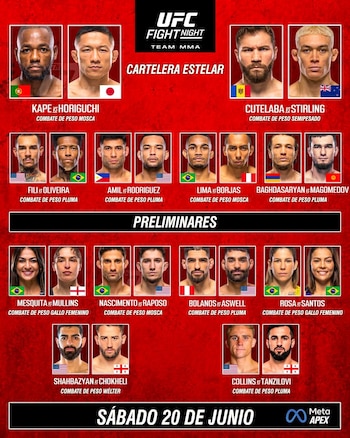 Cartelera de la UFC 119. Crédito: Team MMA.