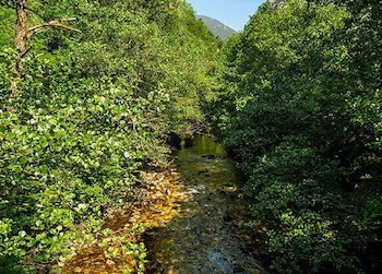 La senda del oso, en