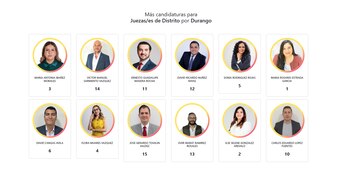 ¿Quiénes más compiten por ser