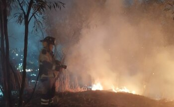 Los bomberos atendieron el incendio