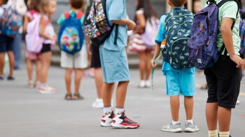 Investigadores creen que las directrices