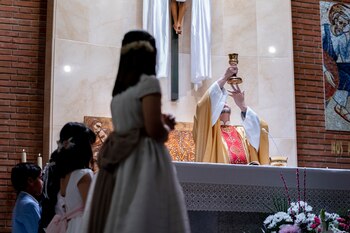 Un grupo de niños se