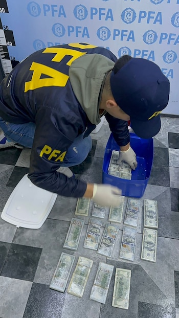 Agente de PFA con gorra y guantes blancos examina fardos de dólares en un suelo a cuadros. Parte del dinero está en una conservadora azul. Logo PFA al fondo