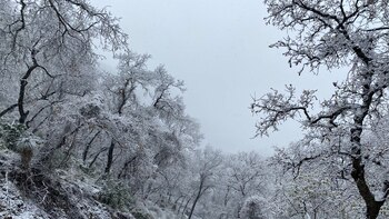 Una tormenta sin precedentes: paisajes