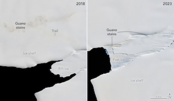 Vista satelital dividida en dos paneles con etiquetas que señalan manchas de guano y plataformas de hielo en los años 2018 y 2023
