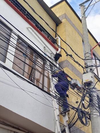 Las gallinas se consideran mascotas no convencionales en Colombia y su tenencia está permitida, siempre que se respeten normas de bienestar animal y convivencia ciudadana - crédito BOMBEROS OFICIALES ARMENIA QUINDIO / Facebook