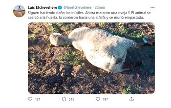 Mensaje de Luis Miguel Etchevehere