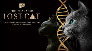 La marca de alimento para