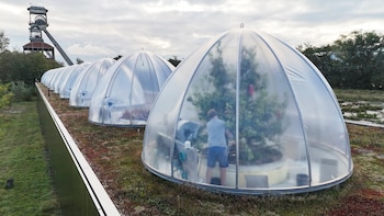 Cómo son las peras del