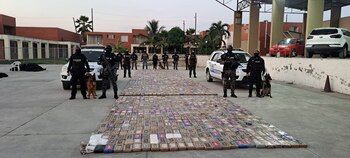 Un can alertó a los