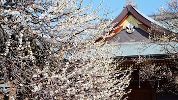 La demanda de viajes de