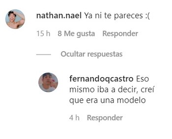 Algunos comentarios sobre su aspecto