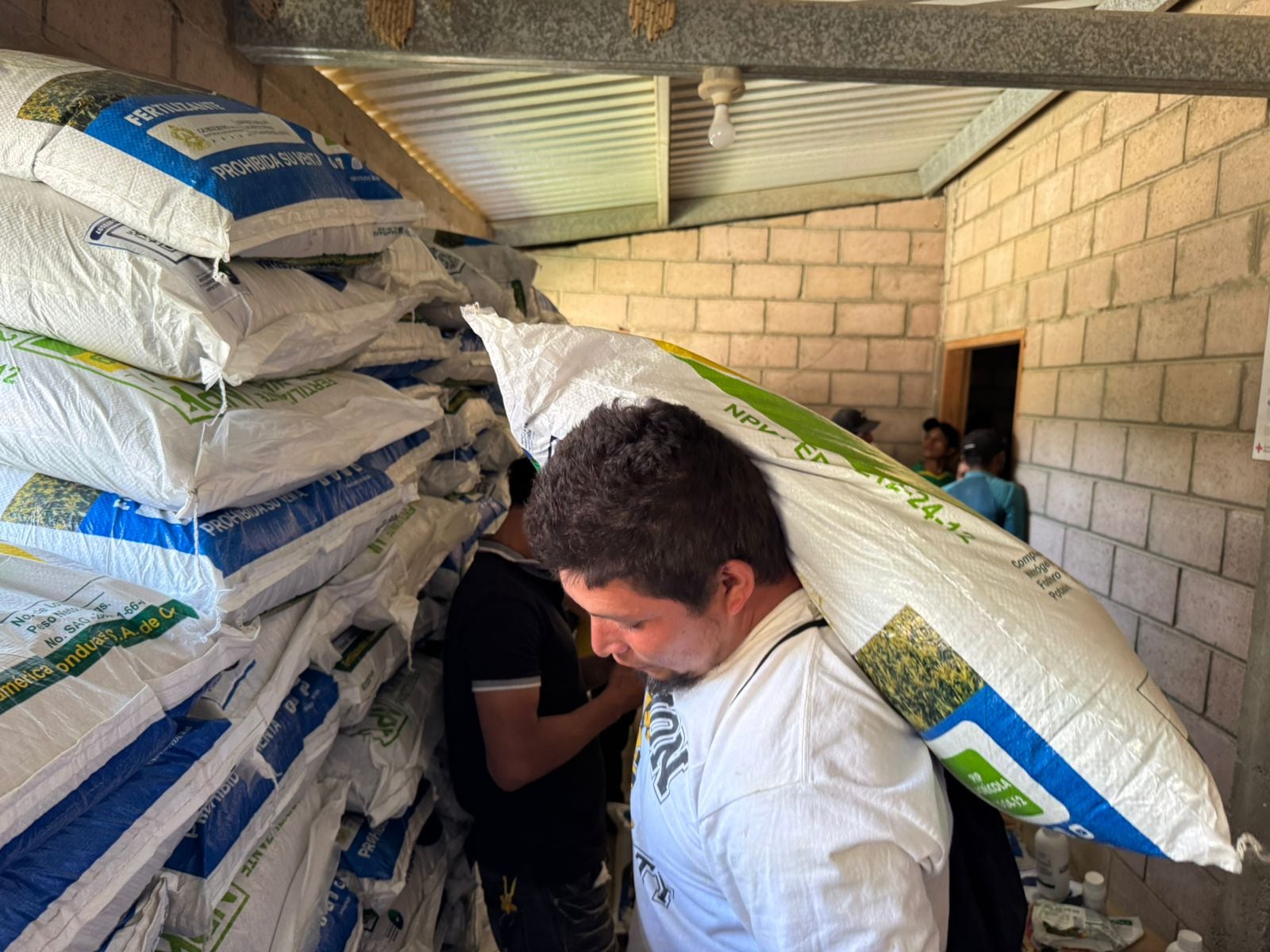 El Gobierno planteó una estrategia nacional para beneficiar a 100 mil productores durante la temporada de postrera.