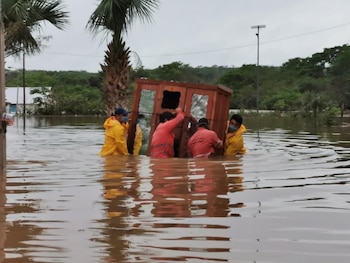 La tormenta tropical ha dañado