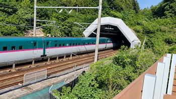El túnel bajo el mar que conecta dos países: así es la impresionante obra que atraviesa las profundidades