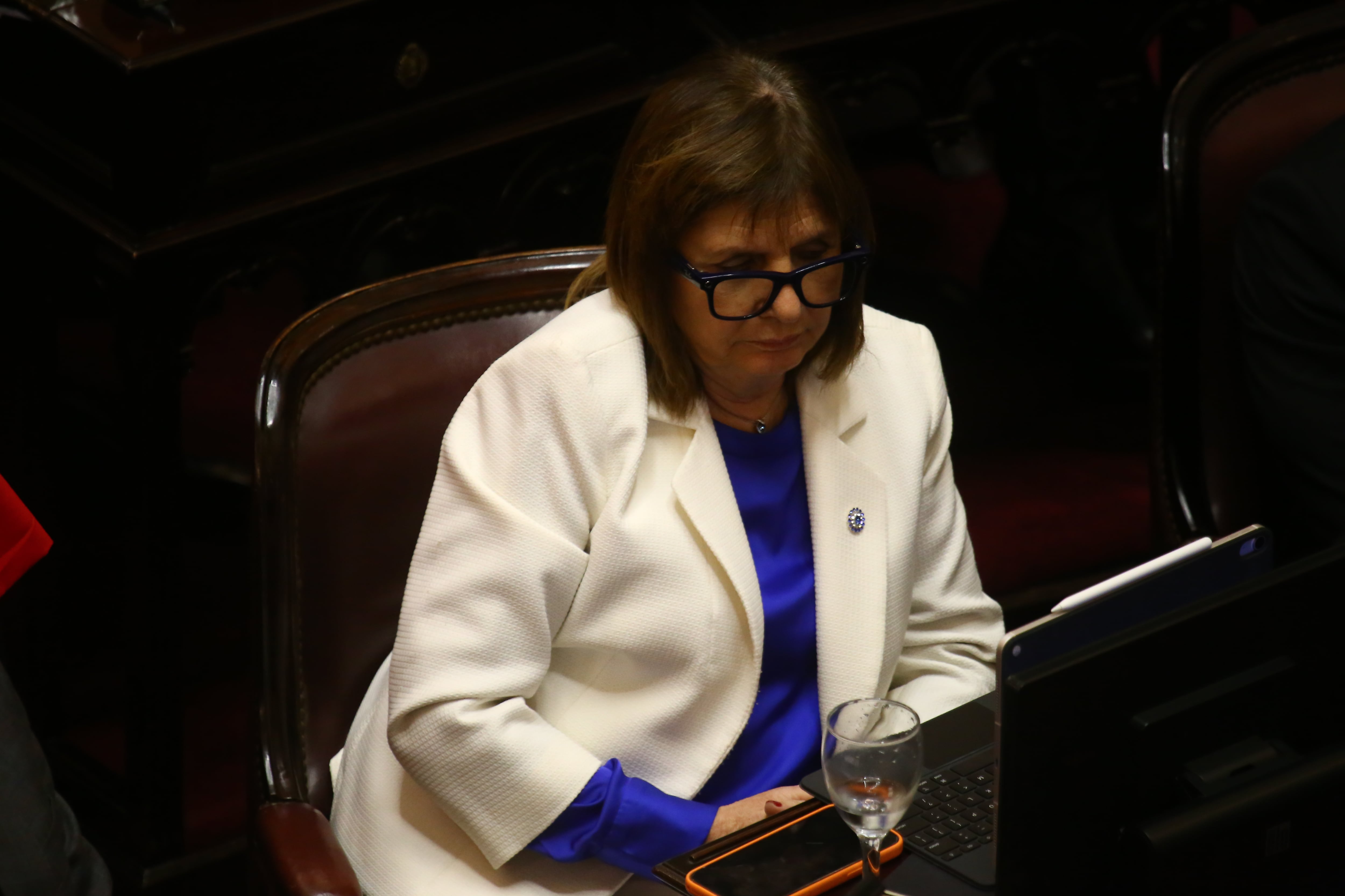 La jefa libertaria en la Cámara alta, Patricia Bullrich