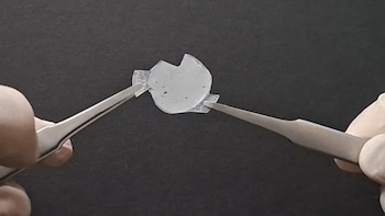 Desarrollan un nanomaterial que logra reducir hasta 12,9 grados la temperatura sin consumir electricidad