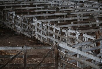 El Mercado de Liniers no