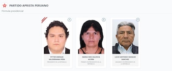 Lista de vicepresidentes en Perú 2026: estos son los acompañantes de cada candidato: Captura: ONPE.