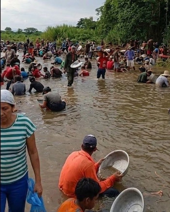 Decenas de personas en el río Buey del Yao, en Granma, buscan oro tras el rumor de un habitante de haber encontrado el metal. (Infobae Cuba/Cortesía Mario J. Pentón)