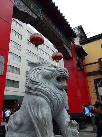 Como sustento, presentó fotos del local y los productos, además de una boleta de venta de Shunto Mayorista, ubicado en la galería Ton Pho, en el Barrio Chino de Lima.
