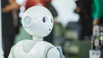 El proyecto evolucionó hacia la