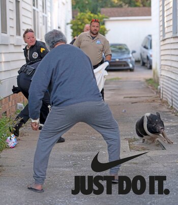 Según los internautas el escape