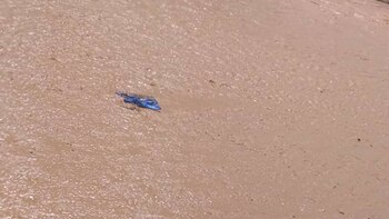 río Bermejo: se pinchó un gomón con unas 20 personas a bordo