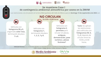 Una infografía oficial con cuatro recuadros explicativos y un semáforo en luz roja sobre el programa de restricción vehicular