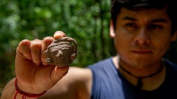 Descubren El Yesal, una de las ciudades mayas más grandes de la selva de Campeche