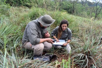 El movimiento Revertir el Rojo