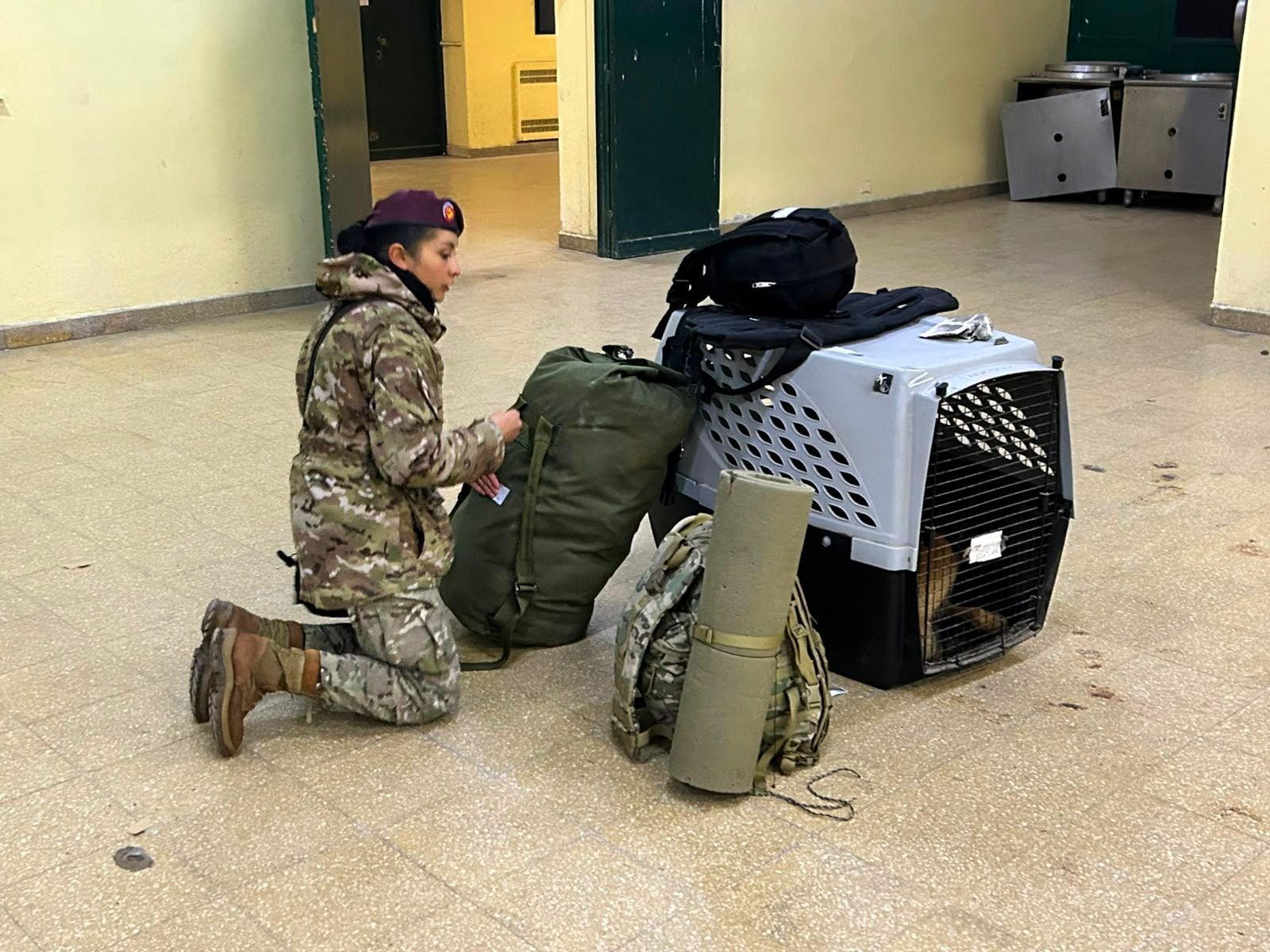 Además de militares, también se enviarán perros especializados en búsqueda de personas