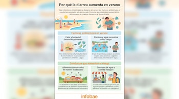 Infografía con ilustraciones de personas, termómetro, sol, piscina, mesa con comida, moscas, virus, bacterias y hombre con malestar estomacal. Logo Infobae.