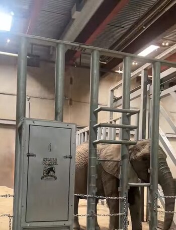 Se tuvieron que adaptar algunas