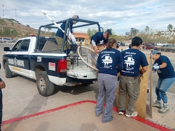 Autoridades, empresas y sociedad civil