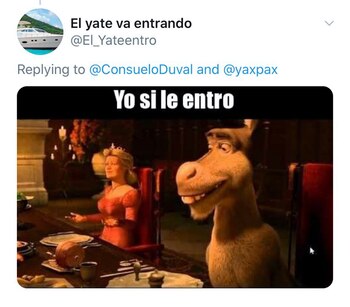 Memes Consuelo Duval (Foto: Twitter)