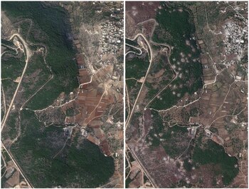 Imagen combinada de una foto de satélite (izquierda) de un bosque junto a la aldea libanesa de Aita al-Shaab, cerca de la frontera israelí, tomada el 23 de octubre de 2023, y la misma zona (derecha) mostrando marcas el 5 de junio de 2024 tras meses de continuas hostilidades transfronterizas entre Hezbollah y las fuerzas israelíes (Planet Labs Inc/REUTERS)