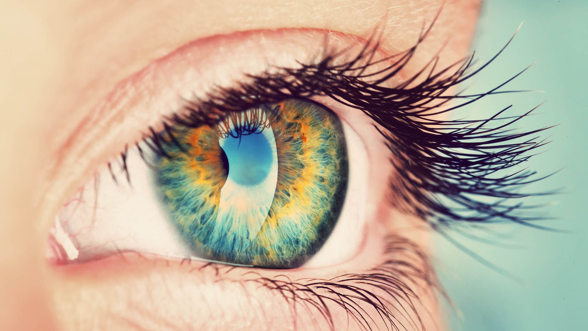 La córnea aguanta hasta 7 días para trasplante. (Shutterstock)