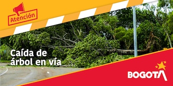 Tras las fuertes presentadas durante el lunes 26 de enero se registró la emergencia en la localidad de Chapinero - crédito Secretaría de Movilidad