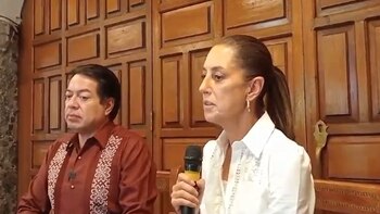 La morenista denunció de manera