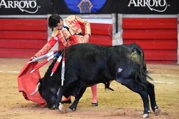 Los legisladores consideran que las