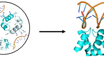Una gota en el laboratorio