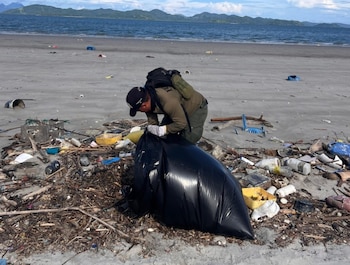 La limpieza de las playas es fundamental para garantizar la existencia de las tortugas marinas. (Cortesía)