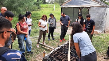 Plantación árboles Gran Chaco