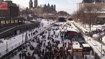 Los iroqueses usaban huesos de